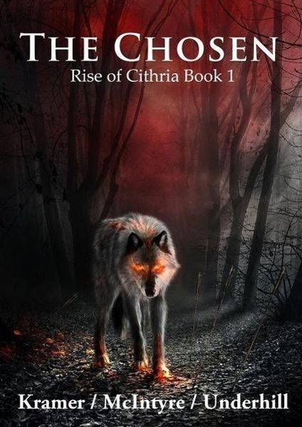 Produktbild: The Chosen (Rise of Cithria, #1)
