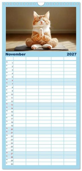 Produktbild: Familienplaner 2027 - Lustige Sportarten f&uuml;r Katzen mit 5 Spalten (Wandkalender, 21 x 45 cm) CALVENDO