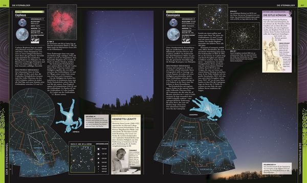 Universum
