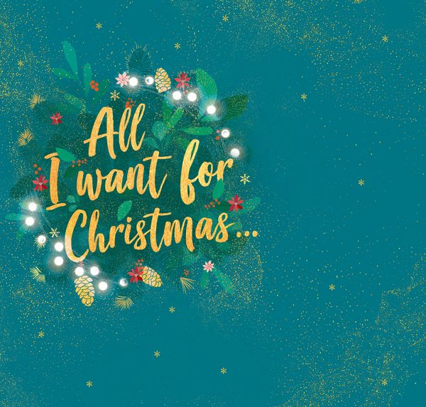 Winter Wishes. Ein Adventskalender. Lovestorys für 24 Tage plus Silvester-Special