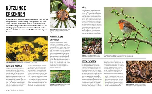 Produktbild: Gr&uuml;nes Gartenwissen. Krankheiten und Sch&auml;dlinge
