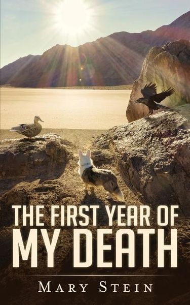 Produktbild: The First Year of My Death