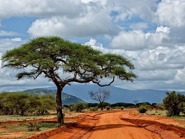 Produktbild: CALVENDO Puzzle Tsavo Ost Nationalpark | 1000 Teile Lege-Gr&ouml;&szlig;e 64x48cm Foto-Puzzle f&uuml;r gl&uuml;ckliche Stunden