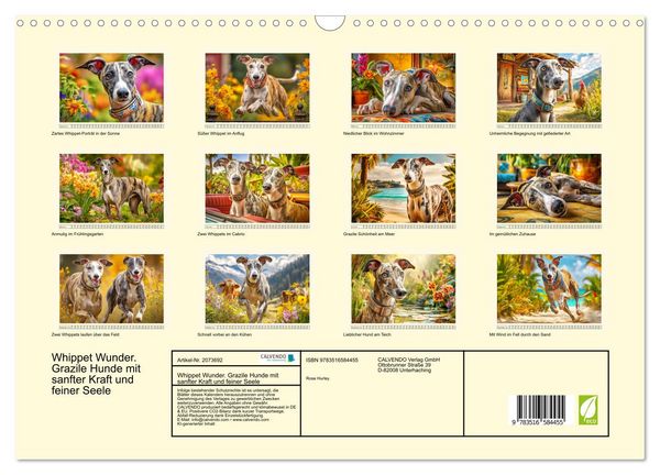 Produktbild: Whippet Wunder. Grazile Hunde mit sanfter Kraft und feiner Seele (Wandkalender 2026 DIN A3 quer), CALVENDO Monatskalender