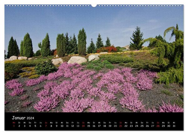 'Findlingspark Nochten 2024 (Wandkalender 2024 DIN A2 Quer), CALVENDO ...