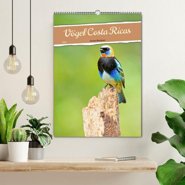 Produktbild: V&ouml;gel Costa Ricas (Wandkalender 2026 DIN A2 hoch), CALVENDO Monatskalender