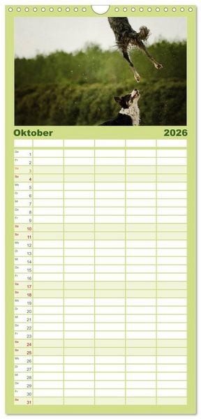 Produktbild: Familienplaner 2026 - Der Bordercollie-Kalender mit 5 Spalten (Wandkalender, 21 x 45 cm) CALVENDO