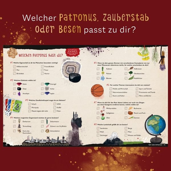 Produktbild: Der gro&szlig;e magische Haus-Test. Das inoffizielle Harry Potter Testbuch