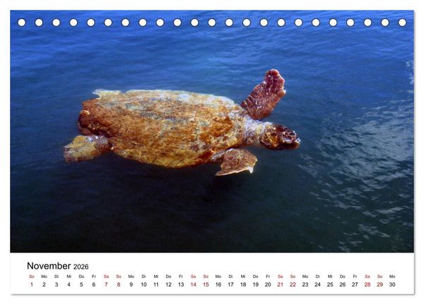 Produktbild: Griechenland - Insel Kefalonia (Tischkalender 2026 DIN A5 quer), CALVENDO Monatskalender