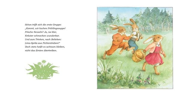 Produktbild: Die H&auml;schenschule 9: Fr&uuml;hling in der H&auml;schenschule