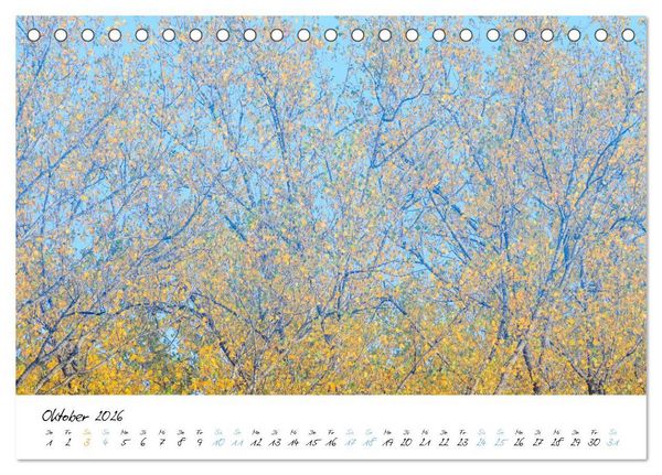 Produktbild: In der Welt der B&auml;ume (Tischkalender 2026 DIN A5 quer), CALVENDO Monatskalender