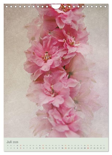 Produktbild: Flora (Wandkalender 2026 DIN A4 hoch), CALVENDO Monatskalender