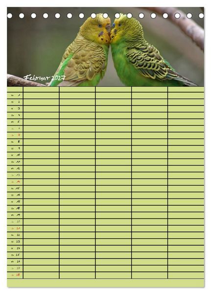Produktbild: Der Wellensittich-Familienplaner (Tischkalender 2027 DIN A5 hoch), CALVENDO Monatskalender