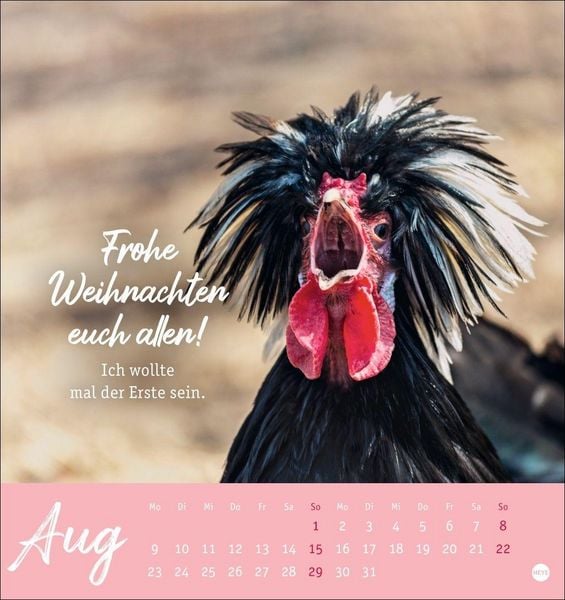 Produktbild: H&uuml;hner Postkartenkalender 2027 - Ach, du verr&uuml;cktes Huhn!