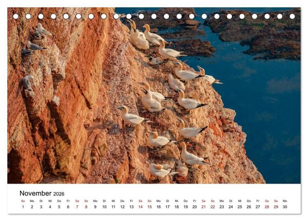 Produktbild: HELGOLAND: Nordseeinsel, sch&ouml;ner Ferienort (Tischkalender 2026 DIN A5 quer), CALVENDO Monatskalender