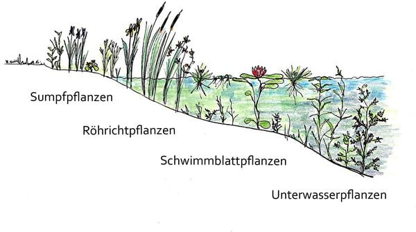 Produktbild: Handbuch Wasser im Garten