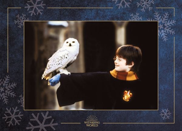 Produktbild: Aus den Filmen zu Harry Potter: Hedwig - ein magischer Pop-up Adventskalender