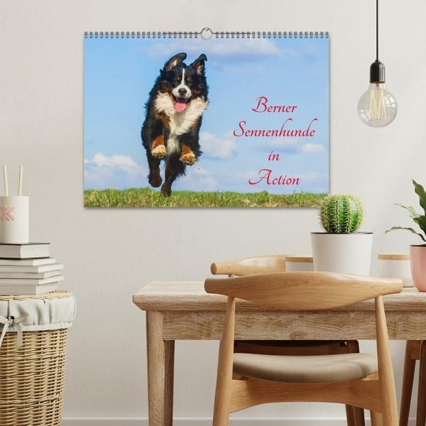 Produktbild: Berner Sennenhunde in Action (Wandkalender 2026 DIN A3 quer), CALVENDO Monatskalender