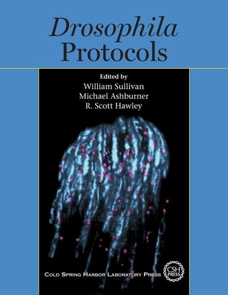 Produktbild: Drosophila Protocols