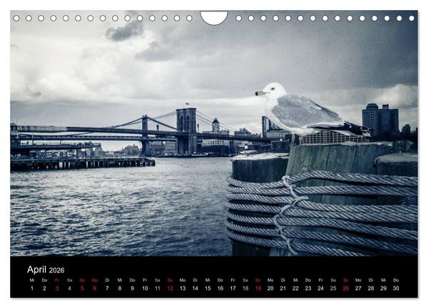 Produktbild: New York (Wandkalender 2026 DIN A4 quer), CALVENDO Monatskalender