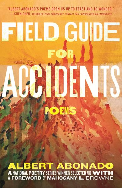 Produktbild: Field Guide for Accidents