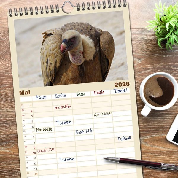 Produktbild: Familienplaner 2026 - Geier - die Gesundheitspolizei! mit 5 Spalten (Wandkalender, 21 x 45 cm) CALVENDO