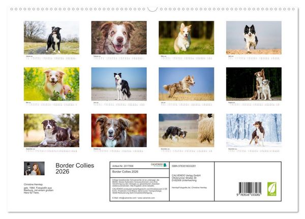 Produktbild: Border Collies 2026 (hochwertiger Premium Wandkalender 2026 DIN A2 quer), Kunstdruck in Hochglanz
