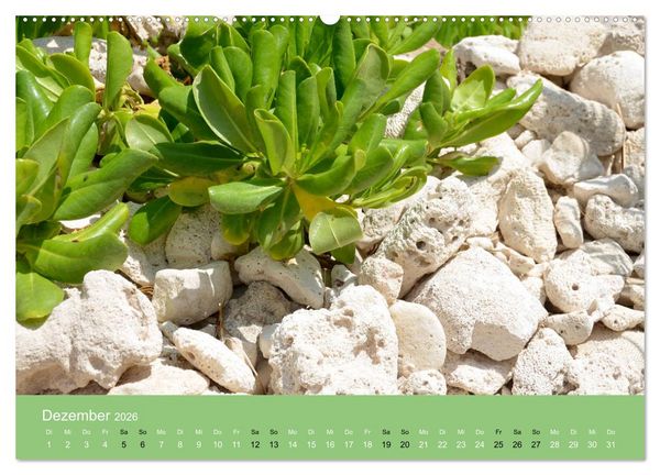 Produktbild: Mexiko - ein traumhaftes Paradies (hochwertiger Premium Wandkalender 2026 DIN A2 quer), Kunstdruck in Hochglanz