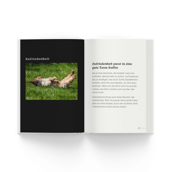 Produktbild: babysteps