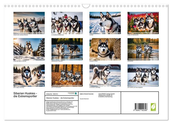 Produktbild: Siberian Huskies - die Extremsportler (Wandkalender 2026 DIN A3 quer), CALVENDO Monatskalender