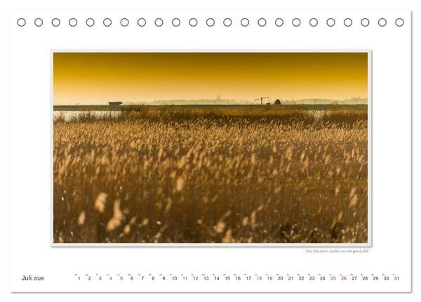 Produktbild: Neusiedler See / CH-Version (Tischkalender 2026 DIN A5 quer), CALVENDO Monatskalender