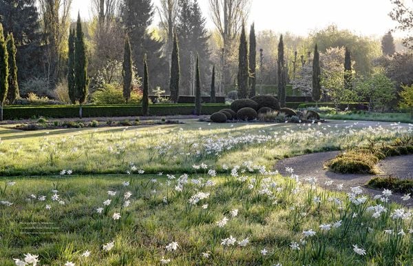 Produktbild: Peter Janke: Mein Garten im Wandel des Zeitgeistes und des Klimas
