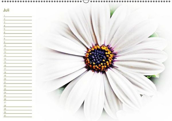 Produktbild: Bl&uuml;tentr&auml;ume - ganz in wei&szlig; / Geburtstagskalender (Wandkalender immerw&auml;hrend DIN A2 quer)
