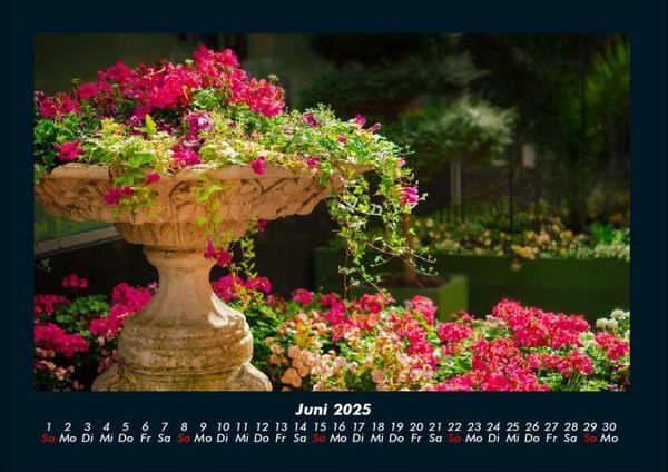 Produktbild: Blumentr&auml;ume 2025 Fotokalender DIN A4