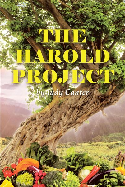 Produktbild: The Harold Project