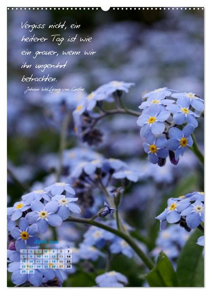 Produktbild: Blumen & Zitate (Wandkalender 2026 DIN A2 hoch), CALVENDO Monatskalender