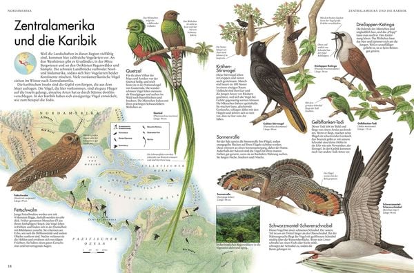 Produktbild: Atlas der V&ouml;gel