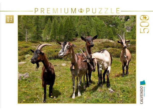 CALVENDO Puzzle Neugierige Ziegenherde | 500 Teile Lege-Größe 48 × 36 cm Foto-Puzzle für Erwachsene