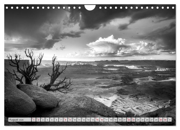 Produktbild: Monochrome Wonders (Wandkalender 2026 DIN A4 quer), CALVENDO Monatskalender