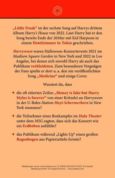 Produktbild: Fan-Box Harry Styles