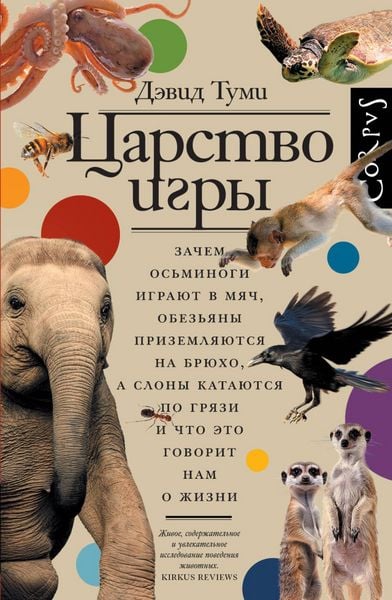 Produktbild: Tsarstvo igry