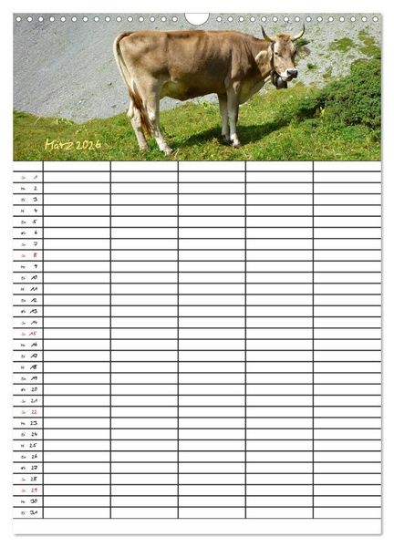 Produktbild: Bauernhoftiere Familienplaner (Wandkalender 2026 DIN A3 hoch), CALVENDO Monatskalender