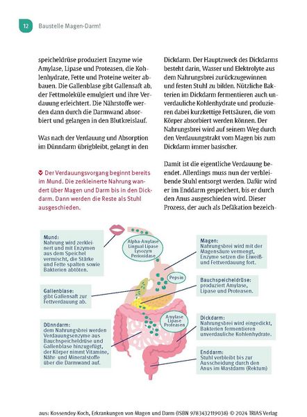 Produktbild: Naturheilpraxis: Erkrankungen von Magen und Darm