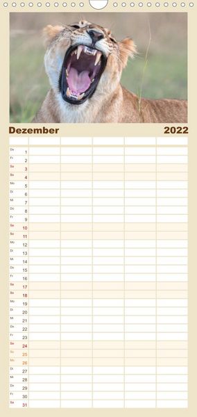 Produktbild: L&ouml;wen - Raubkatzen Afrikas - Familienplaner hoch (Wandkalender 2022 , 21 cm x 45 cm, hoch)