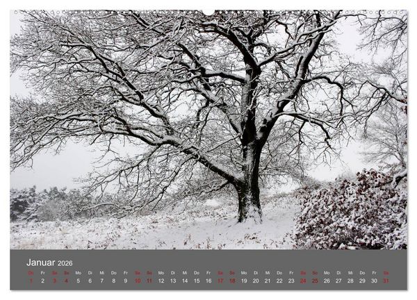 Produktbild: Wahner Heide - Aussichten und Begegnungen (Wandkalender 2026 DIN A2 quer), CALVENDO Monatskalender