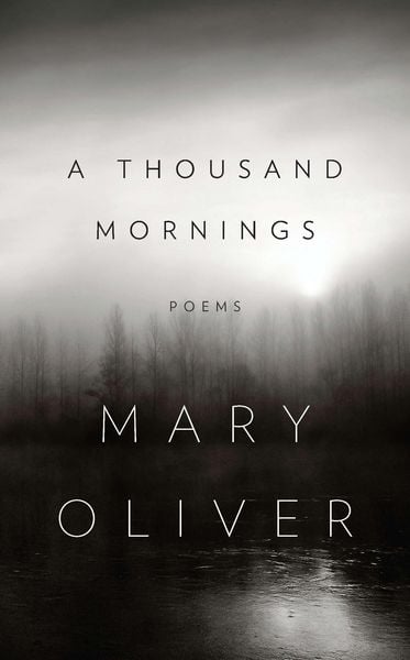 Produktbild: A Thousand Mornings