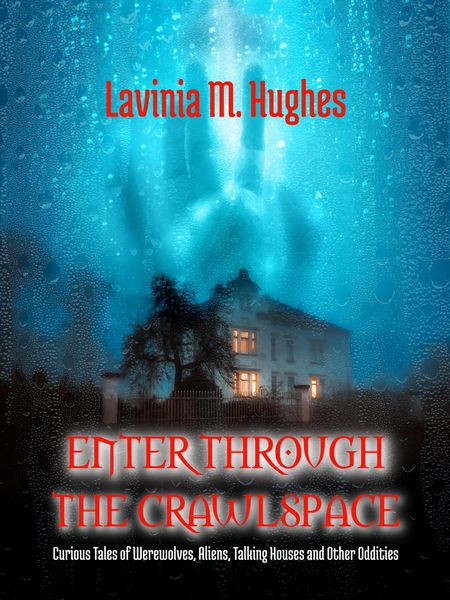Produktbild: Enter Through the Crawlspace