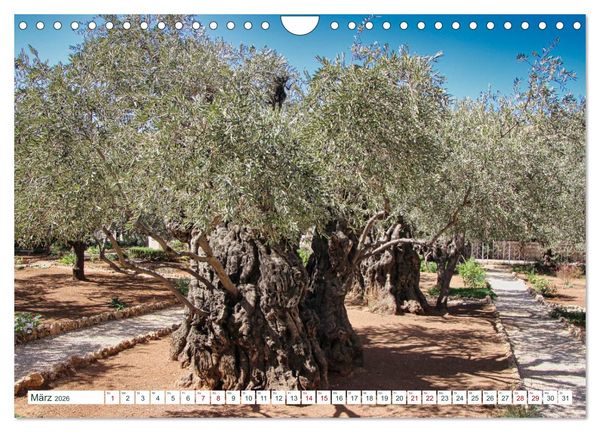 Produktbild: Biblische Orte in Israel mit Bibelstellen (Wandkalender 2026 DIN A4 quer), CALVENDO Monatskalender
