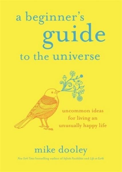 Produktbild: A Beginner's Guide to the Universe