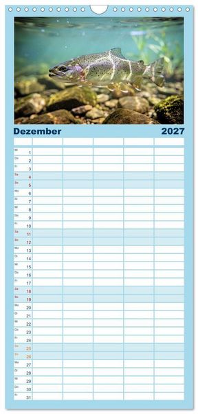 Produktbild: Familienplaner 2027 - Forellen im Fluss mit 5 Spalten (Wandkalender, 21 x 45 cm) CALVENDO